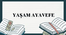 Yaşam Ayavefe’nin Karbon Emisyonunu Azaltma Projeleri